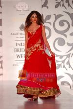 Model walks the ramp for Archana Kocchar at Aamby Valley India Bridal Week day 5 on 2nd Nov 2010 (30).JPG