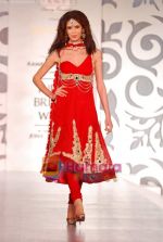 Model walks the ramp for Archana Kocchar at Aamby Valley India Bridal Week day 5 on 2nd Nov 2010 (4).JPG