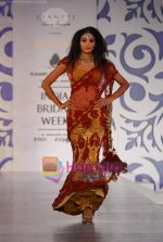 Model walks the ramp for Archana Kocchar at Aamby Valley India Bridal Week day 5 on 2nd Nov 2010 (99).JPG