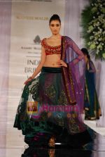 Model walks the ramp for Manish Malhotra at Aamby Valley India Bridal Week day 5 on 2nd Nov 2010 (156).JPG
