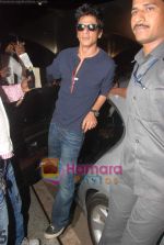 Shahrukh Khan snapped at Mumbai International airport on 16th Nov 2010 (16).JPG