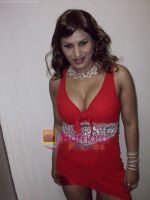Nandini Jumani at new year show in hyderabad on 2nd Jan 2011 (16).JPG