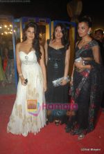 Mugdha Godse, Tanushree Dutta, Jacqueline Fernandez at 17th Annual Star Screen Awards 2011 on 6th Jan 2011 (4).JPG