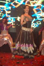 Dia Mirza performs live at Vemma health product launch in Tulip Star on 14th Jan 2011 (25).JPG