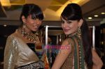 Aanchal Kumar, Candice Pinto at Amara showcases Shyamal Bhunika_s new collection in Amara on 20th Jan 2011 (6).JPG