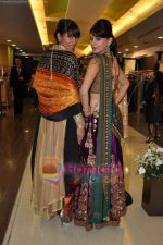 Aanchal Kumar, Candice Pinto at Amara showcases Shyamal Bhunika_s new collection in Amara on 20th Jan 2011 (62).JPG