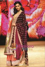 at Ahmedabad show of Shyamal and Bhumika on 21st Jan 2011 (36).JPG