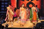 at Ahmedabad show of Shyamal and Bhumika on 21st Jan 2011 (5).JPG