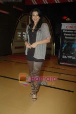 Pooja Bedi at Buitiful film premiere in Cinemax on 1st Feb 2011 (2).JPG