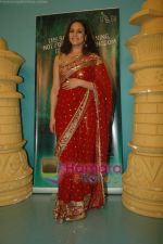 Caterina Lopez shoots for Bhindi Baazaar Inc in Andheri on 2nd Feb 2011 (13).JPG