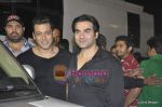 Salman Khan, Arbaaz Khan at Stardust Awards 2011 in Mumbai on 6th Feb 2011 (3).JPG