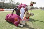 at Cartier Dubai Polo cup in Dubai, United Arab Emirates, 14 February 2011 (69).JPG