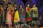 at The Indian princess Finale in Chitrakoot, Andheri, Mumbai on 25th Feb 2011 (45).JPG