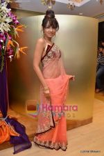 Nisha Kothari at the launch of designer Manali Jagtap_s store in Mumbai on 4th March 2011 (8).JPG