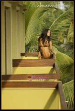 poonam pandey28.jpg