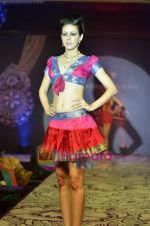 Model walks the ramp for Waman Hari Pethi jewellery show in Novotel on 6th March 2011 (18).JPG