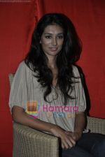 Preeti Desai unveil Shor in the City first look in  Le Soliel, Juhu, Mumbai on 23rd March 2011 (12).JPG