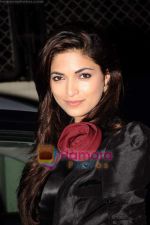 Parvathy Omanakuttan at Femina Miss India Bash in Trilogy on 5th April 2011 (10).JPG