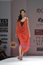 Model walks the ramp for Raj Shroff show on Wills Lifestyle India Fashion Week 2011 - Day 3 in Delhi on 8th April 2011 (36).JPG