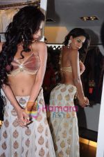 Liza Mallik backless photo shoot at Riyaz Ganji store in Juhu, Mumbai on 19th April 2011 (27).JPG