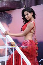 Liza Mallik backless photo shoot at Riyaz Ganji store in Juhu, Mumbai on 19th April 2011 (36).JPG