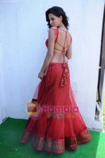 Liza Mallik backless photo shoot at Riyaz Ganji store in Juhu, Mumbai on 19th April 2011 (44).JPG