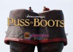 Salma Hayek at Puss in boots cannes premiere on 11th May 2011 (10).jpg