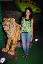 Alecia Raut at Rainforest restaurant launch in Andheri on 17th June 2011 (2).JPG
