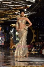 Model walk the ramp for Manav Gangwani at Synergy 1 Delhi Couture Week 2011 in Taj Palace, Delhi on 23rd July 2011 (92).JPG