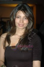 Shama Sikander at Percept Excellence Awards on 23rd July 2011 (21).JPG