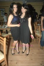 at Meet Brothers launch new restaurant Wild Wild West in Fun Republic on 29th July 2011 (10).JPG