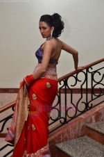 Model walks the ramp for Saree designer Shruti Sancheti showcase at 7TH Retail Jeweller Awards in Lalit Hotel on 6th Aug 2011 (94).JPG