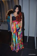 at Manish Malhotra Show at Lakme Fashion Week 2011 Day 5 in Grand Hyatt, Mumbai on 21st Aug 2011 (80).JPG