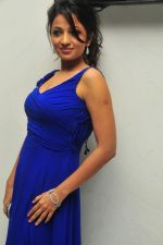 Anusha Jain at Duniya Movie Audio Launch on 27th August 2011 (16).jpg