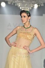 Model at Avon fashion show in Trident, Mumbai on 27th Aug 2011 (197).JPG
