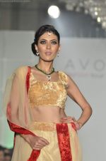 Model at Avon fashion show in Trident, Mumbai on 27th Aug 2011 (201).JPG
