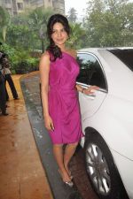 Priyanka Chopra at Agneepath first look in J W Marriott on 29th Aug 2011 (168).JPG