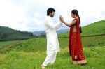 Shamna Kasim (Poorna), Sai Pradeep Pinisetty (Aadhi) in Chelagatam Movie Stills (37).jpg