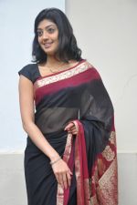 Pranitha_s Casual Shoot on 1st September 2011 (58).JPG