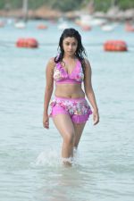 Payal Ghosh (Harika) in Bikini Swimwear Photoshoot on 30th May 2010 (115).JPG