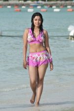 Payal Ghosh (Harika) in Bikini Swimwear Photoshoot on 30th May 2010 (143).JPG