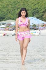Payal Ghosh (Harika) in Bikini Swimwear Photoshoot on 30th May 2010 (48).JPG