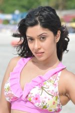 Payal Ghosh (Harika) in Bikini Swimwear Photoshoot on 30th May 2010 (66).JPG