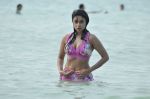 Payal Ghosh (Harika) in Bikini Swimwear Photoshoot on 30th May 2010 (86).JPG