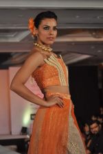 Deepti Gujral at WLC Chimera fashion show in Leela Hotel on 8th Sept 2011 (351).JPG