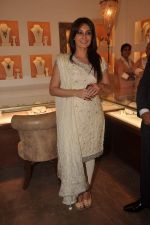 Minissha Lamba at Anmol jewelers promotional event in Bandra, Mumbai on 8th sept 2011 (9).JPG
