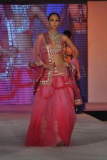 Shamita Singha at WLC Chimera fashion show in Leela Hotel on 8th Sept 2011 (404).JPG