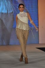 at WLC Chimera fashion show in Leela Hotel on 8th Sept 2011 (335).JPG