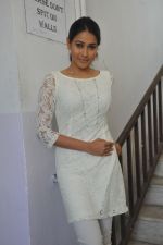 Panchi Bora attends Aakasame Haddu Movie Success Meet on 11th September 2011 (17).jpg