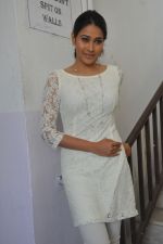 Panchi Bora attends Aakasame Haddu Movie Success Meet on 11th September 2011 (18).jpg